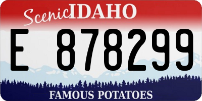 ID license plate E878299