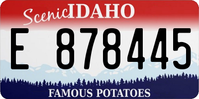 ID license plate E878445