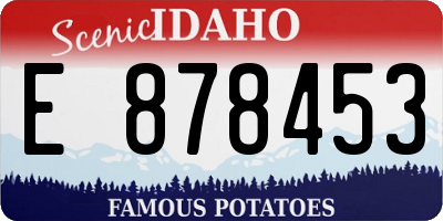 ID license plate E878453