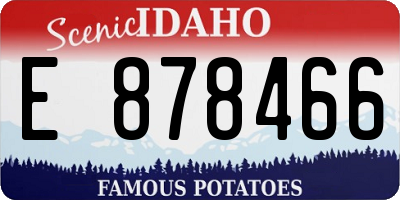 ID license plate E878466