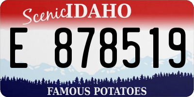 ID license plate E878519