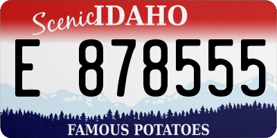ID license plate E878555