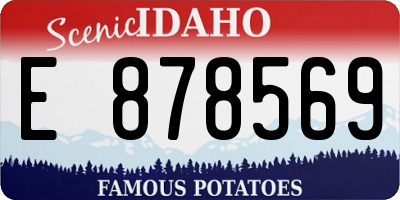 ID license plate E878569