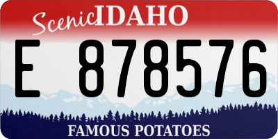 ID license plate E878576