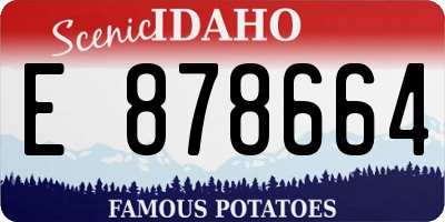 ID license plate E878664