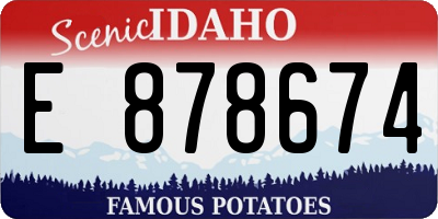 ID license plate E878674