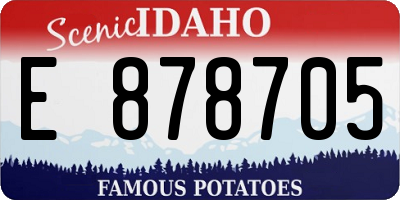 ID license plate E878705