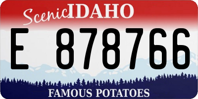 ID license plate E878766