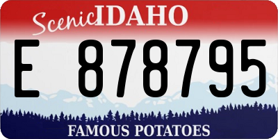 ID license plate E878795