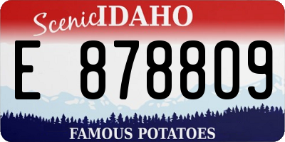 ID license plate E878809