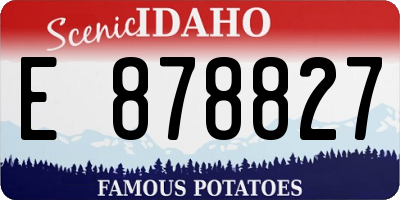 ID license plate E878827