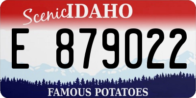 ID license plate E879022