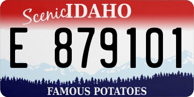 ID license plate E879101