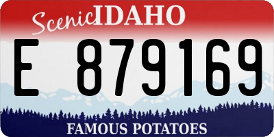 ID license plate E879169