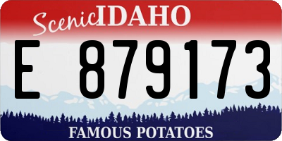 ID license plate E879173