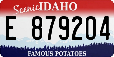 ID license plate E879204