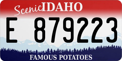 ID license plate E879223