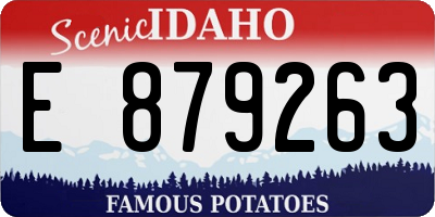 ID license plate E879263