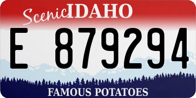 ID license plate E879294