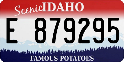 ID license plate E879295
