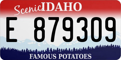 ID license plate E879309