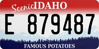 ID license plate E879487