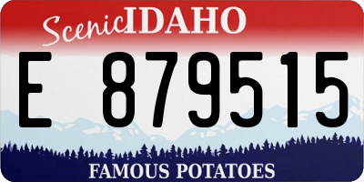 ID license plate E879515