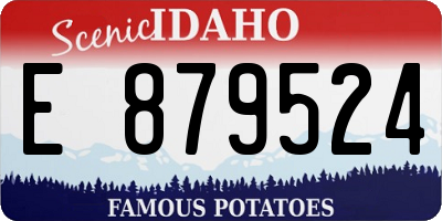 ID license plate E879524