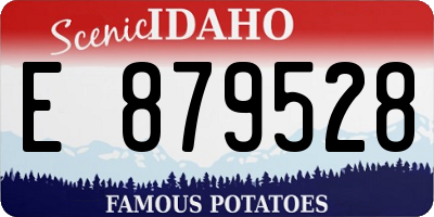 ID license plate E879528