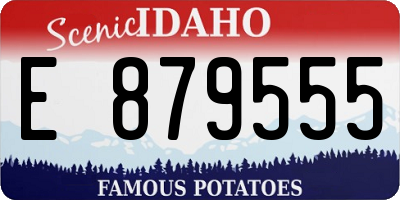 ID license plate E879555