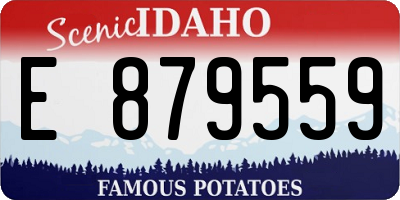 ID license plate E879559