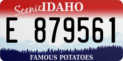 ID license plate E879561