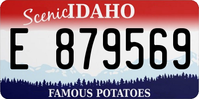 ID license plate E879569