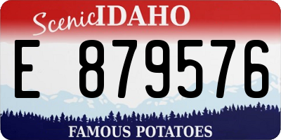 ID license plate E879576