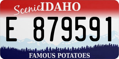 ID license plate E879591