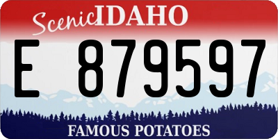 ID license plate E879597