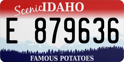 ID license plate E879636