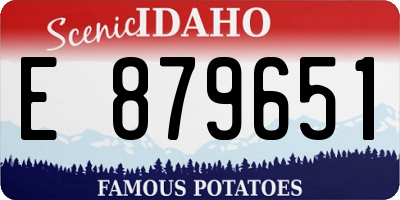 ID license plate E879651