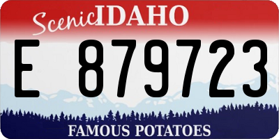 ID license plate E879723