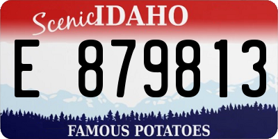 ID license plate E879813