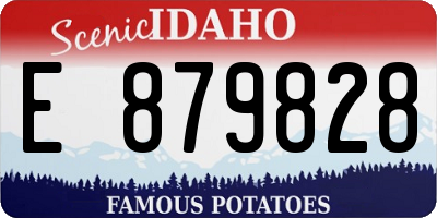 ID license plate E879828
