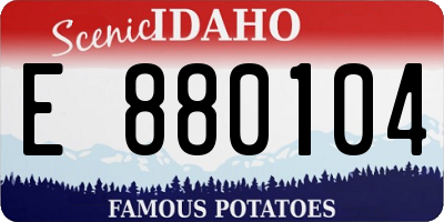 ID license plate E880104