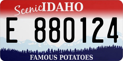ID license plate E880124