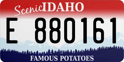 ID license plate E880161