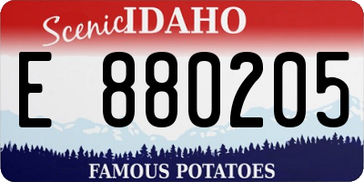 ID license plate E880205