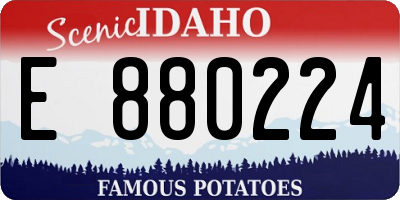 ID license plate E880224