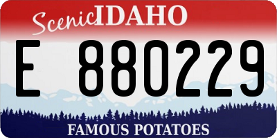 ID license plate E880229