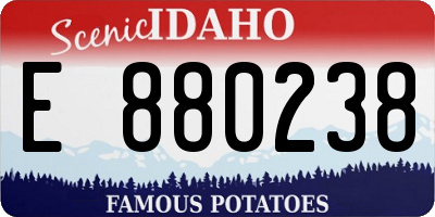 ID license plate E880238
