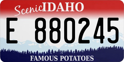 ID license plate E880245