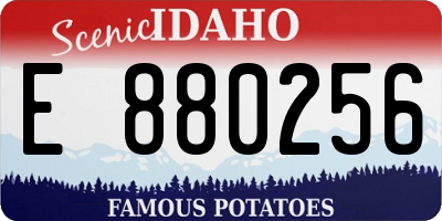 ID license plate E880256